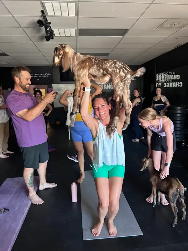 Goat yoga day on the gym floor